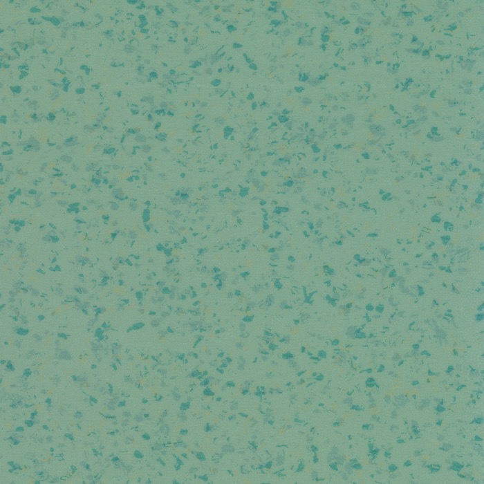 FN6021(圖1)